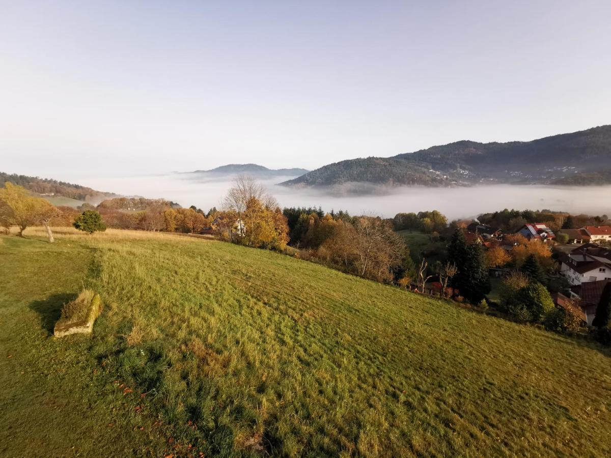 Haus Am Berg Mit Wellnessbereich, Bar Und Panorama Villa Bühlertal Kültér fotó