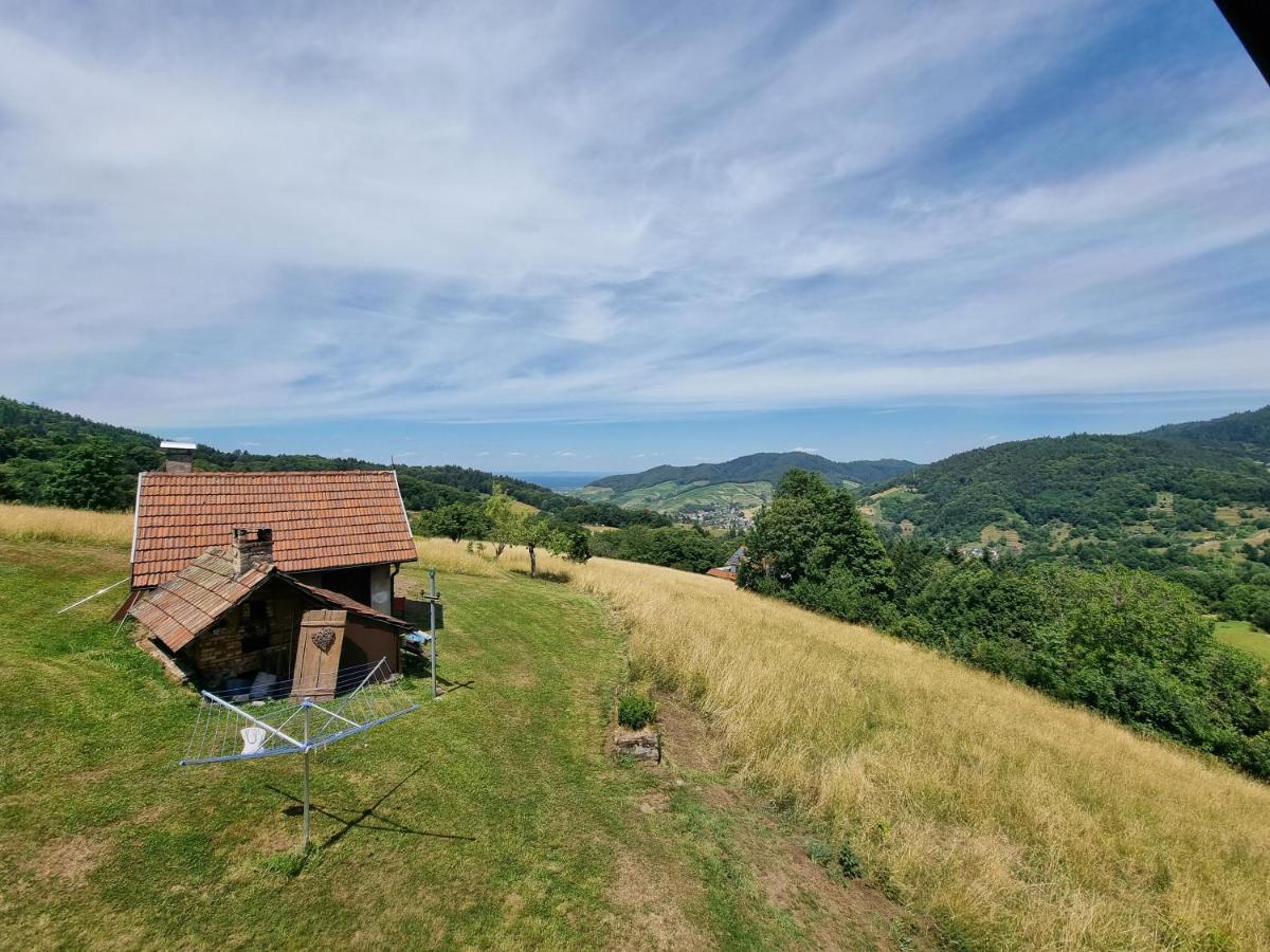Haus Am Berg Mit Wellnessbereich, Bar Und Panorama Villa Bühlertal Kültér fotó