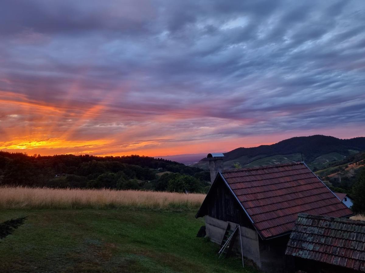 Haus Am Berg Mit Wellnessbereich, Bar Und Panorama Villa Bühlertal Kültér fotó