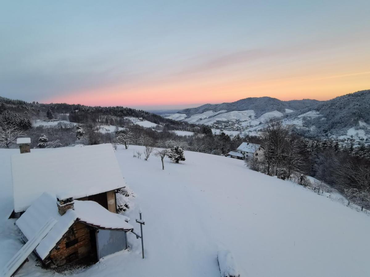 Haus Am Berg Mit Wellnessbereich, Bar Und Panorama Villa Bühlertal Kültér fotó
